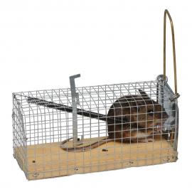 Jaula trampa para ratones hecha de malla galvanizada, con una base de madera.