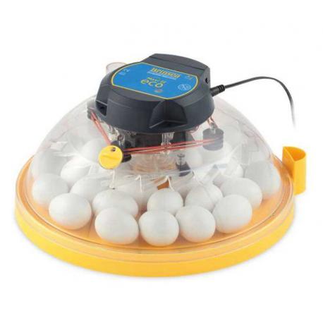 Incubadora Brinsea Maxi II Eco manual con capacidad para hasta 30 huevos de gallina.