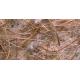 Material natural para nidos de Pelo de Coco Sisal Yute y Algodón