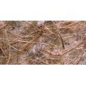Material natural para nidos de Pelo de Coco Sisal Yute y Algodón