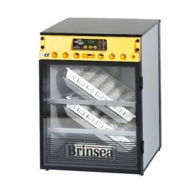Incubadora Brinsea Octagon 20 ECO Semiautomático