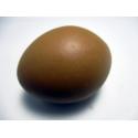 Huevo de Gallina Oscuro cerámico simulado