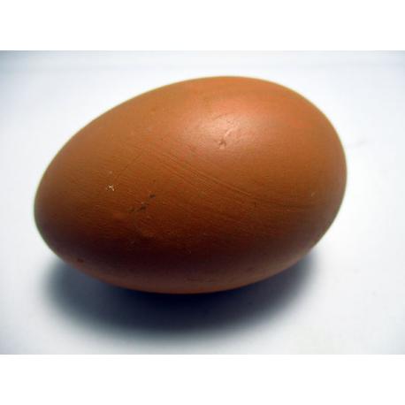 Huevo de Gallina Oscuro Largo cerámico simulado