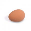 Huevo de gallina simulado en GOMA Modelo MARRON